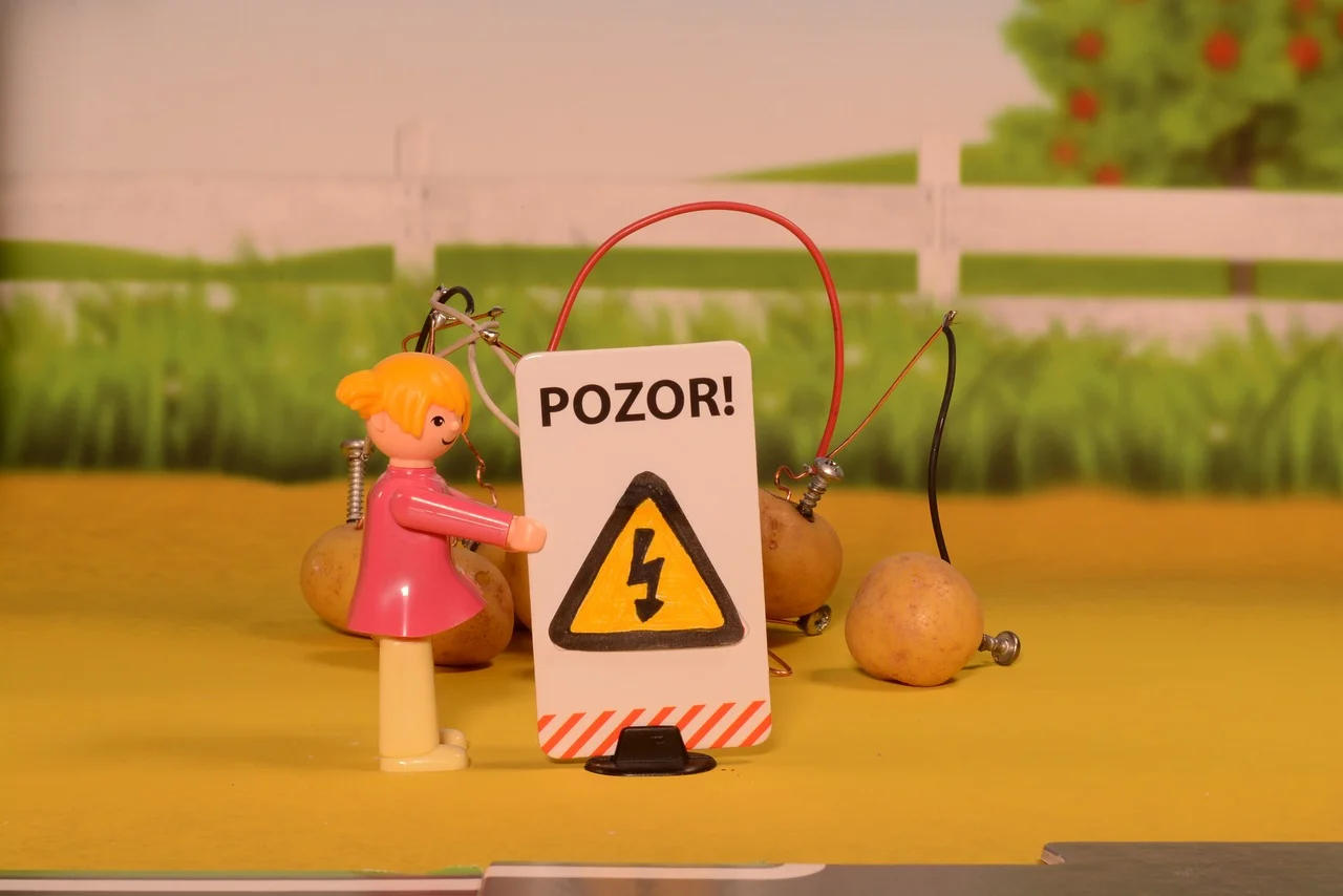 soiuri de varza pentru sarmale