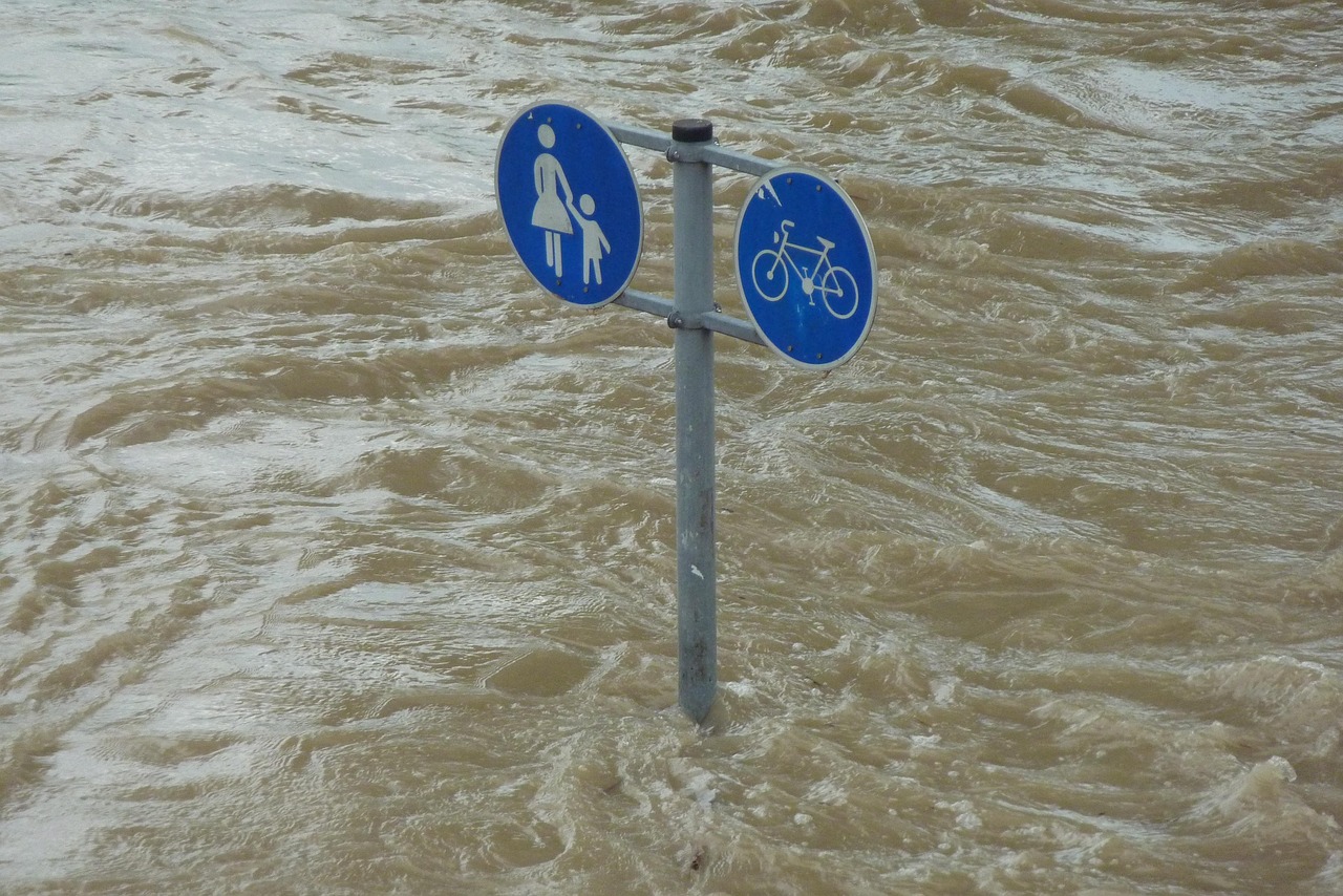 inundatii bacau