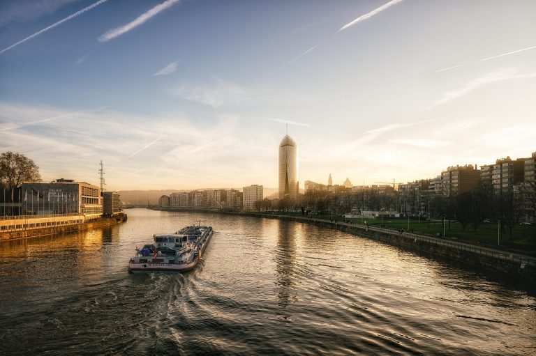 schema plantare catina