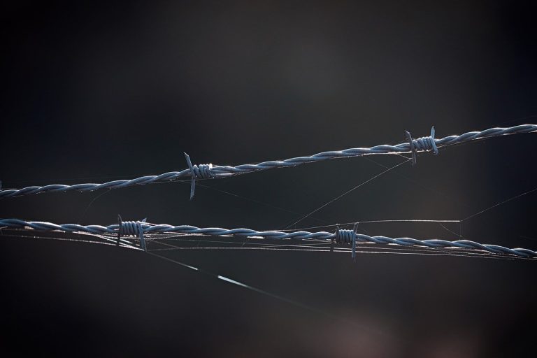 ce se intampla cu politistii de frontiera dupa intrarea in schengen