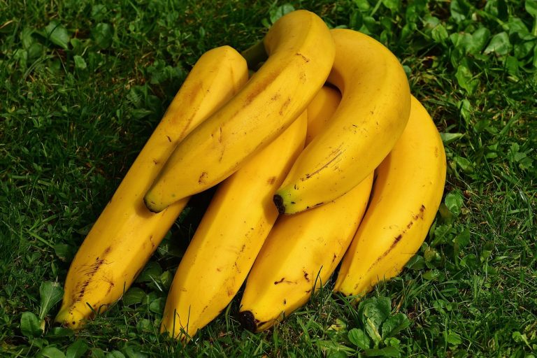 soiuri de banane
