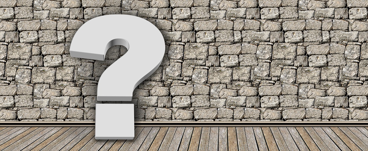 ce inseamna referendum