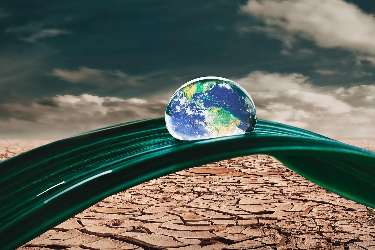 proiect schimbari climatice